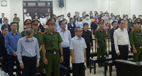 Ba bị cáo trong đại án xảy ra tại BIDV kháng cáo